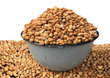 IMMACULATE HONEY BEANS 2KG