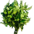 FLUTED PUMPKIN / UGU LEAF