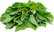 JANI FOODS TETE 300G