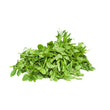 FRESH WATERLEAF