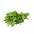 SILVER COCKSOMBS / SOKO LEAF