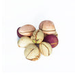 KOLA NUT (ABATA)