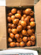 UDARA (AGBALUMO)