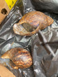 SNAIL 2PCS