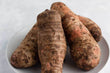 COCOYAM