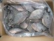 TILAPIA BOX