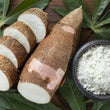 PROCESSED CASSAVA (TAPIOCA)
