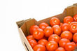 TOMATOES CARTON