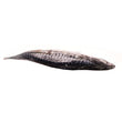 MACKEREL 1PC
