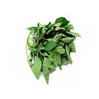 JANI FOODS BITTERLEAF 300G