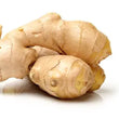 GINGER
