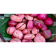 KOLA NUT (GORO)