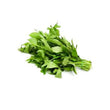 TOGO BITTERLEAF