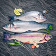 RED BREAM (PACK OF 3)