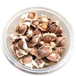 MORINGA SEEDS 50G (180PCS)