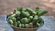 PEPPER FRUIT